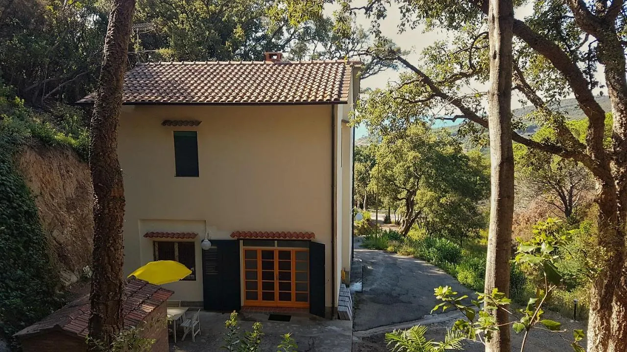 Villa Ai Pini - Argonautivacanze Procchio