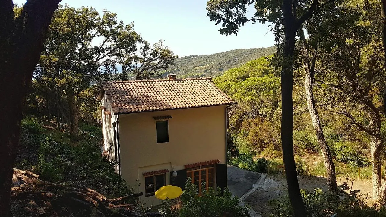 Apartment Villa Ai Pini - Argonautivacanze Procchio