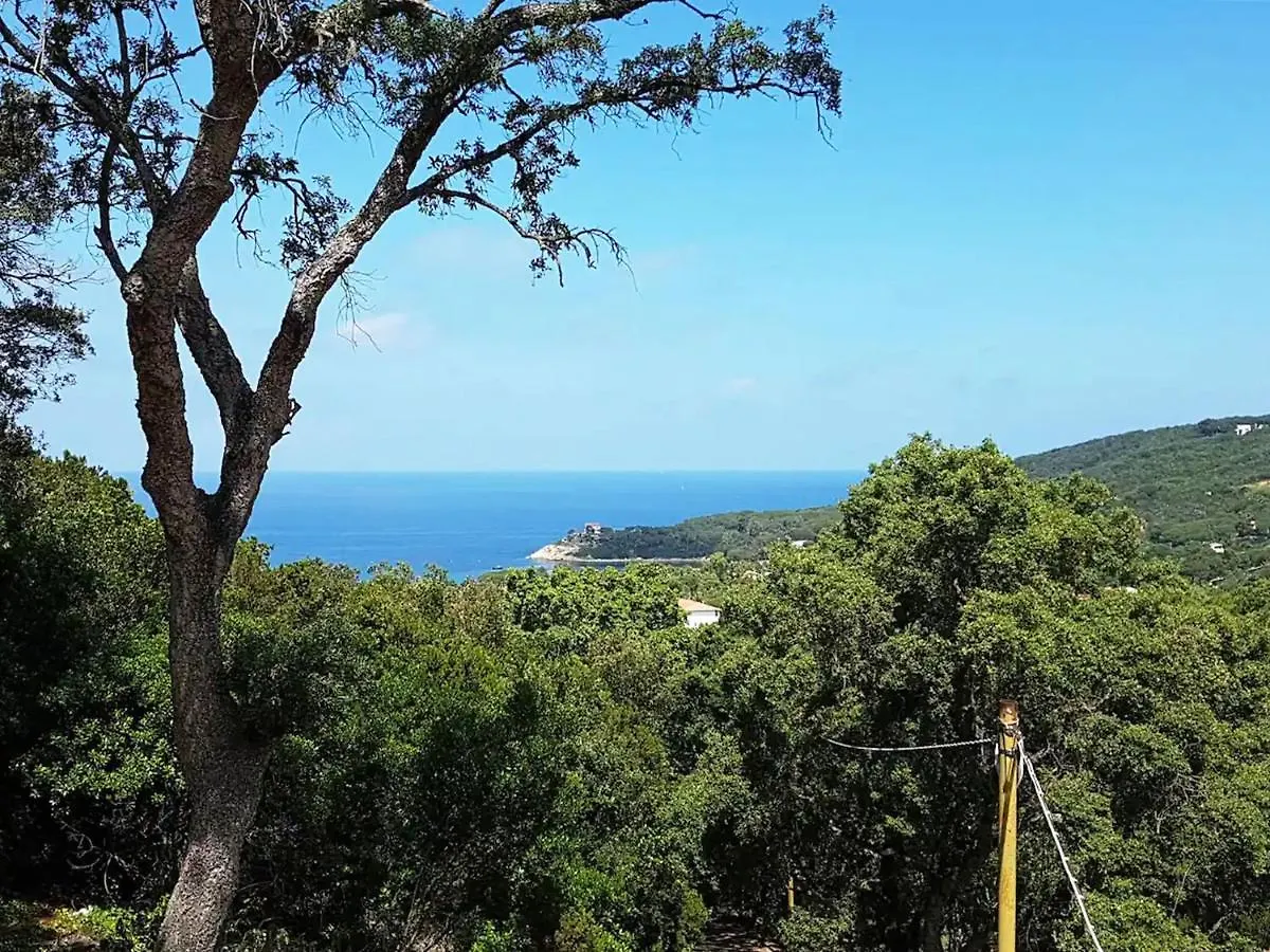 Villa Ai Pini - Argonautivacanze Procchio  0*, Procchio (Isola d'Elba) Italy